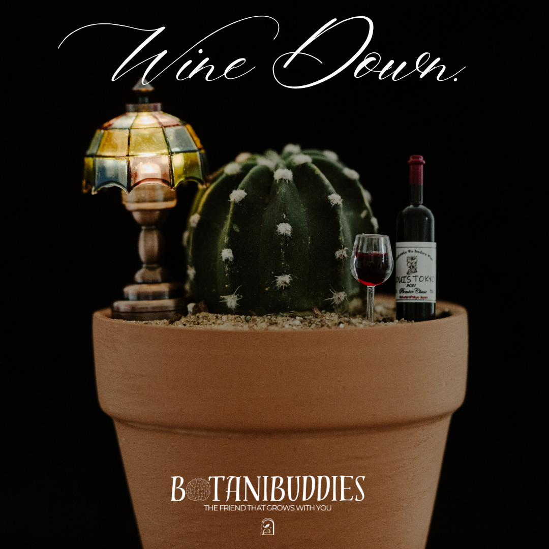 Wine Down
