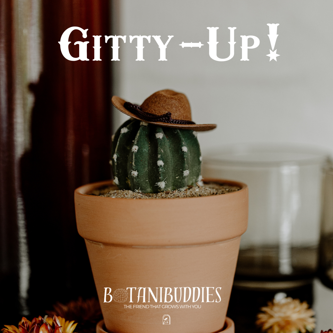 Gitty Up & Get Down