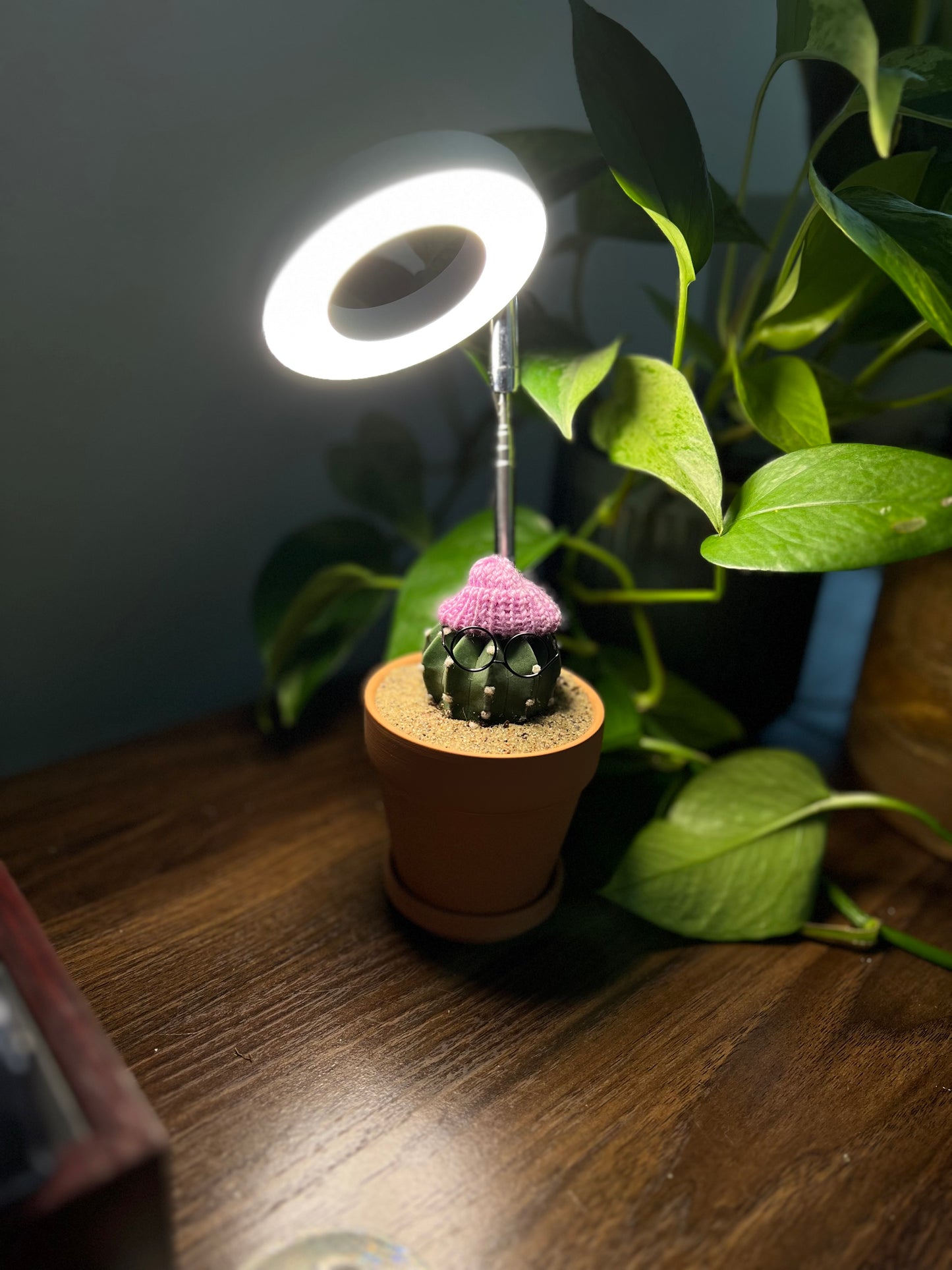 LED Grow Light