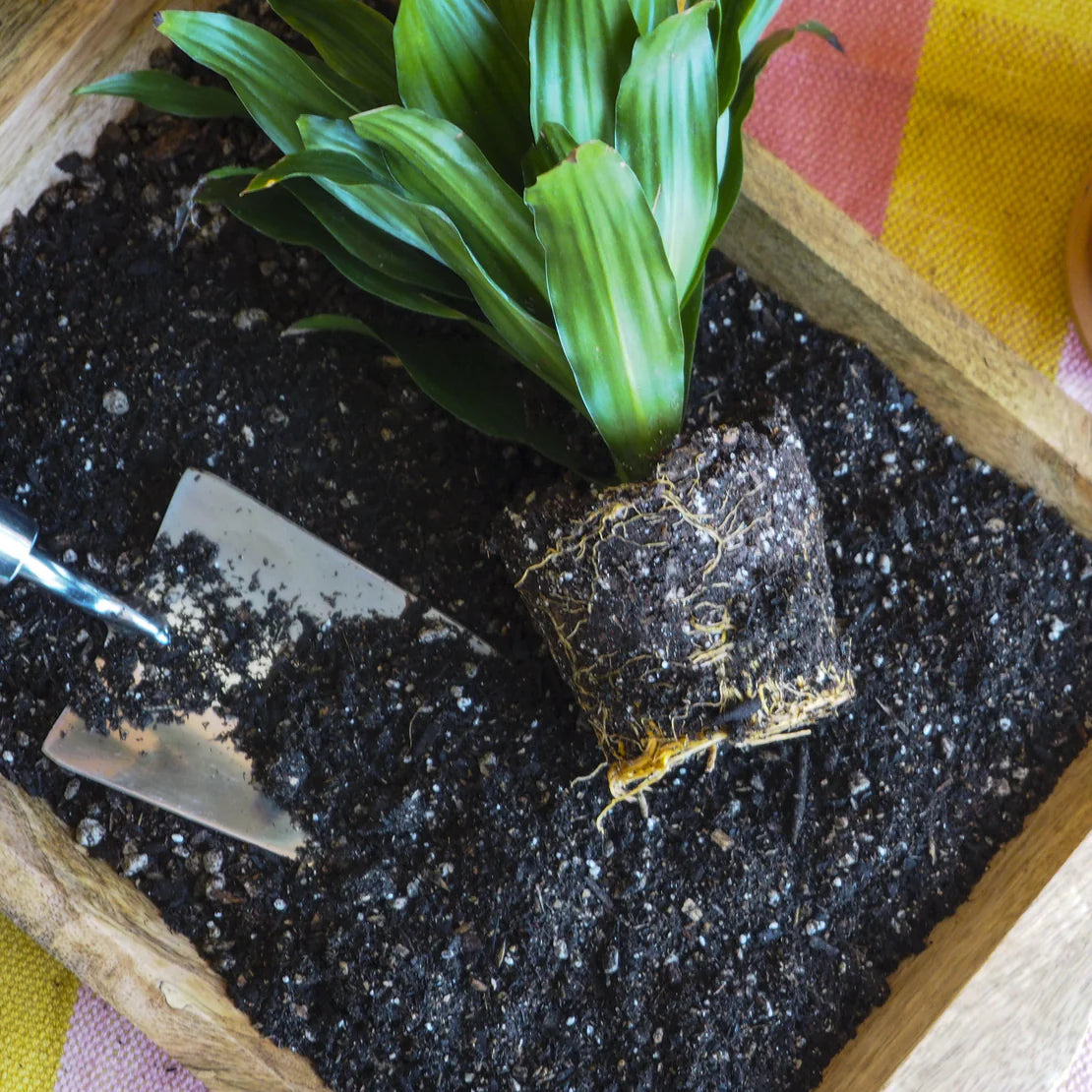 Soil Puck