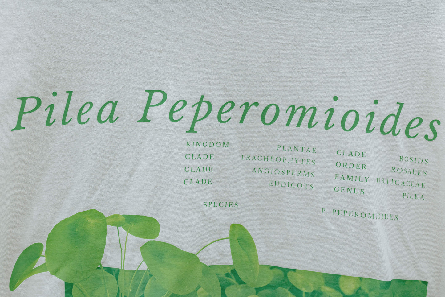 Pilea Shirt