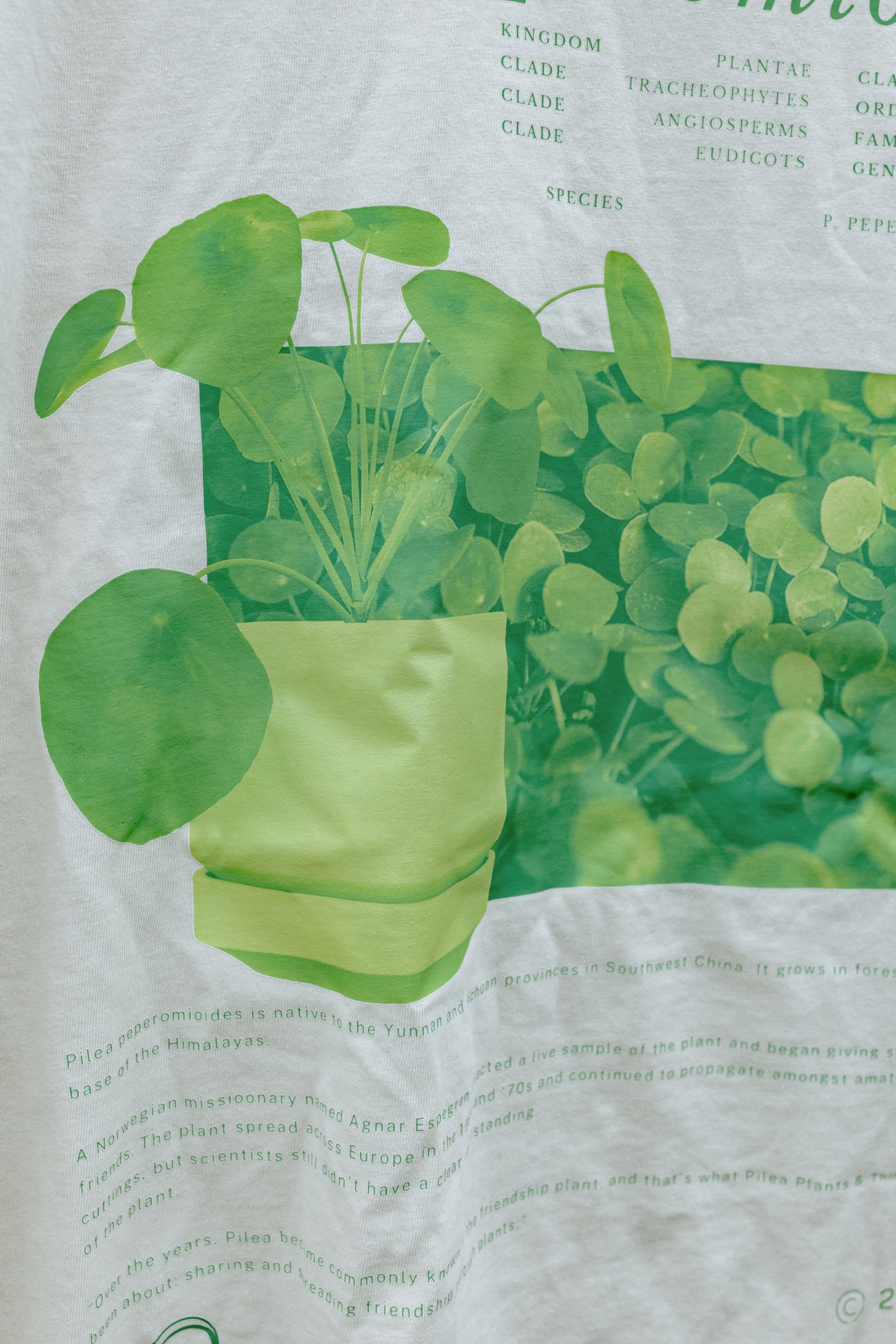 Pilea Shirt
