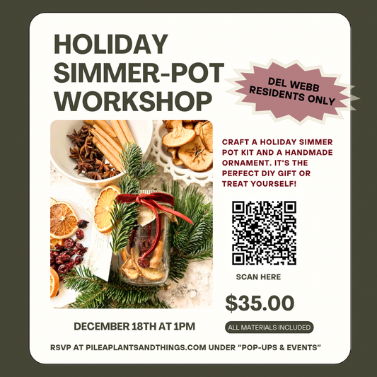 Holiday Simmer-Pot Workshop (Del Webb Residents only)