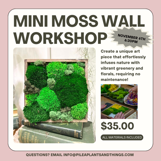 Moss Wall Workshop (Talon Preserve Residents only)