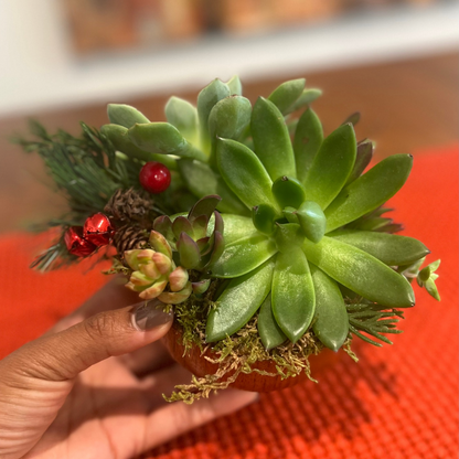 Holiday Arrangement