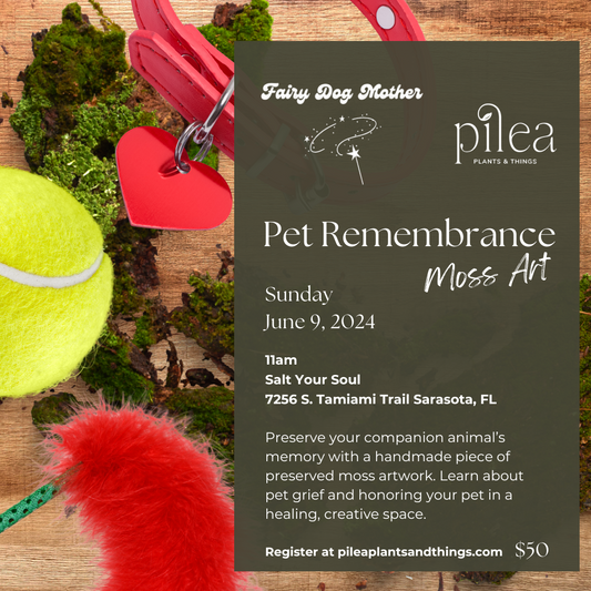 Pet Remembrance Moss Art Workshop