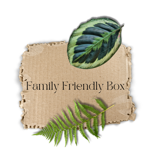 Family Friendly Box